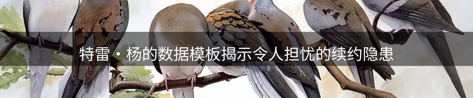 体育资讯